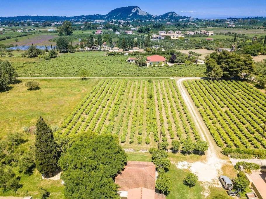 Authentic Country House In Zakynthos Ambelokipoi  Exterior photo